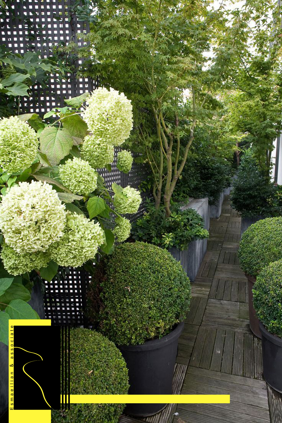Image showcasing Roof Garden Plants – Khesht o Khorshid